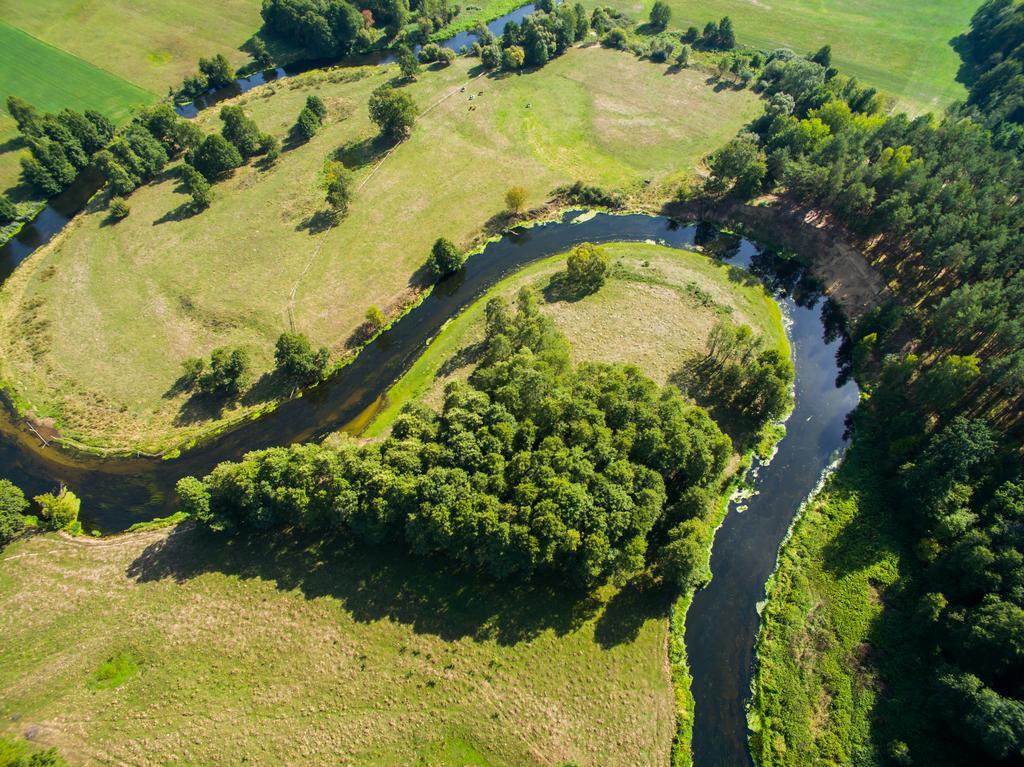 Hotel Bonifacio Spa&Sport Resort Sochocin Exteriör bild
